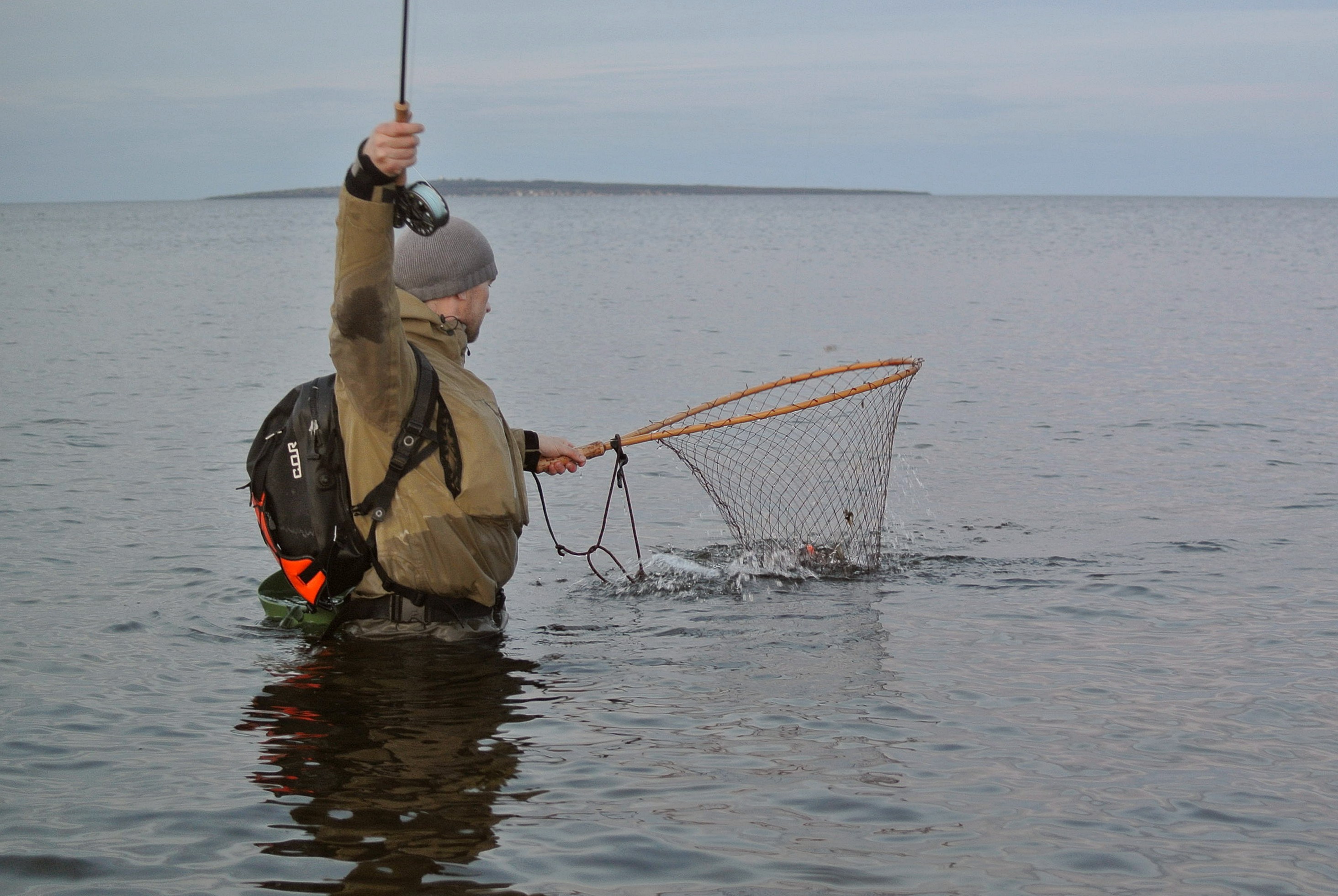 Endnu en fisk en pink flue.