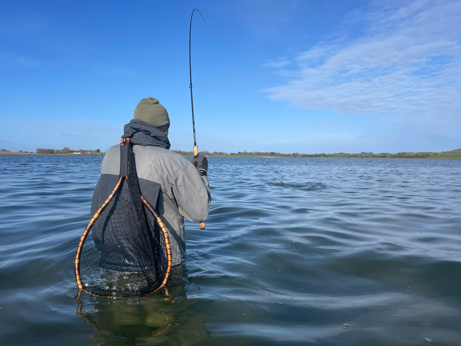 Fiskene lever af sand- og brsteorm i denne fjord. Alligevel har en fisk netop hugget p en lille pink ophngerflue.