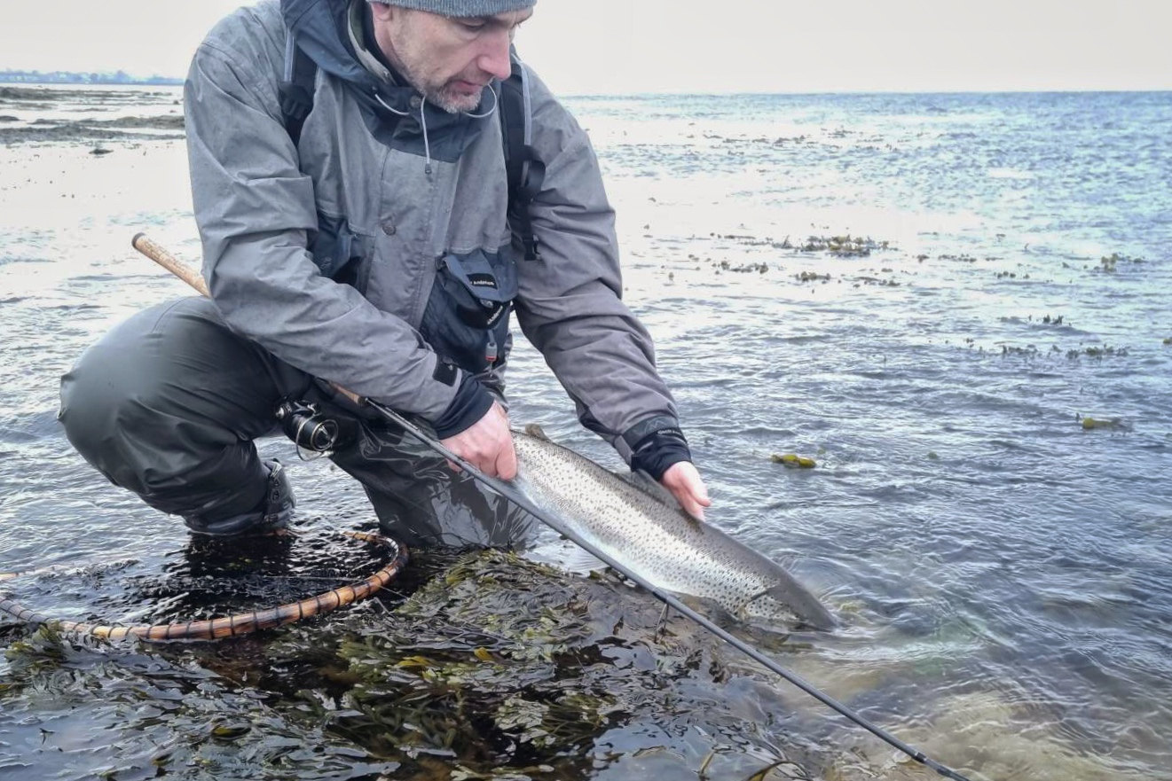 En fisk fra Bornholm genudsttes.