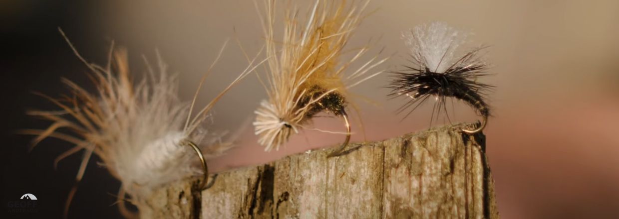 Top 3 Dry Flies and Nymphs for Brown Trout
