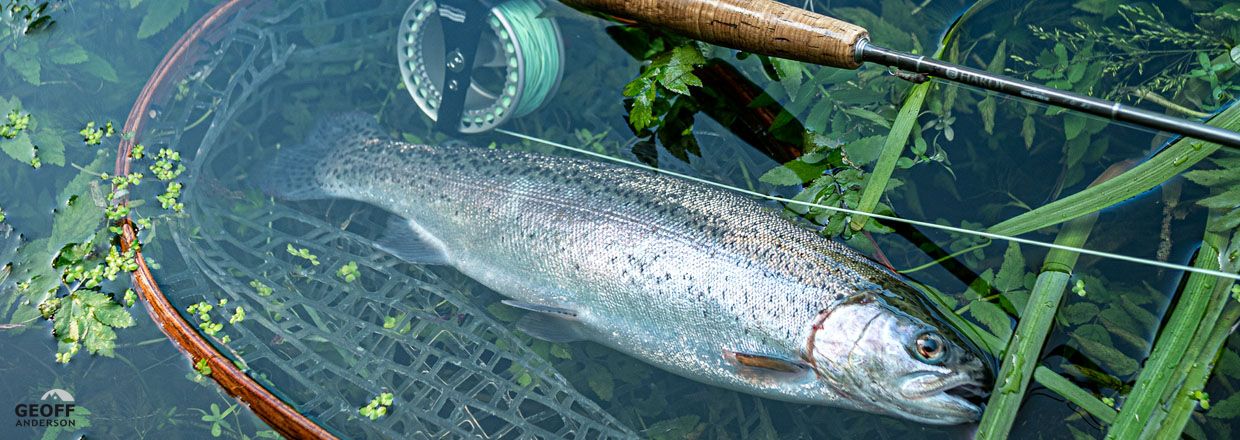 Sightfishing in ultra-clear water