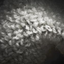 WizWool HeavyWeight Sock Gris