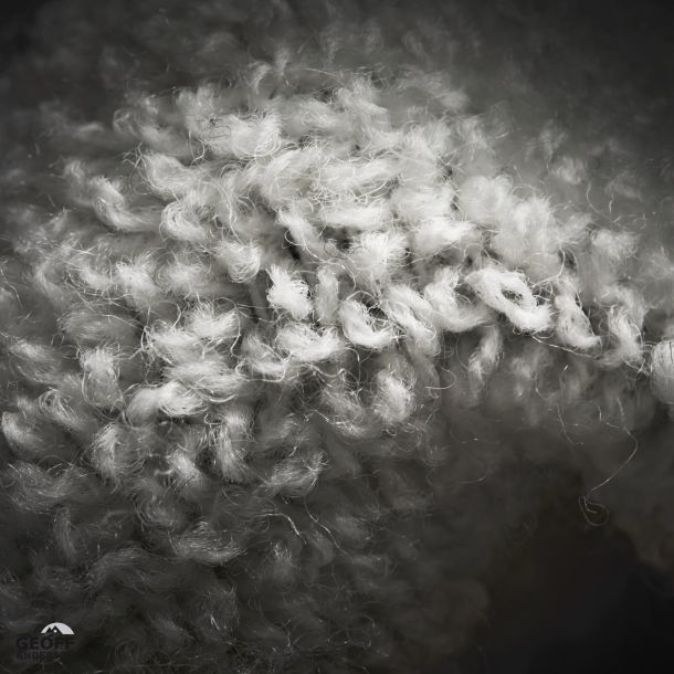 WizWool HeavyWeight Sock Gris