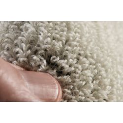 BootWarmer Sock (Kiwi series)